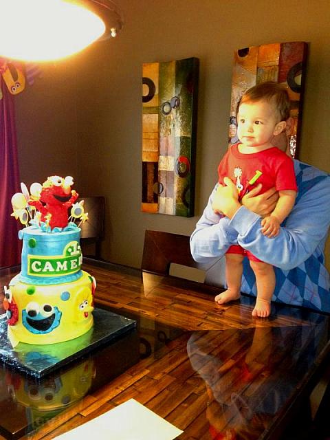 Cameron Admiring His Elmo Birthday Cake