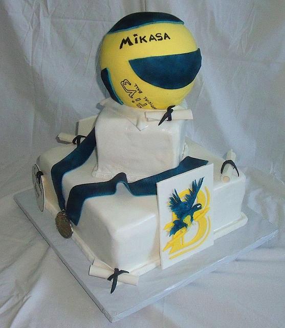GraduationVolleyBallMedalCollegeEmblemCakeMain