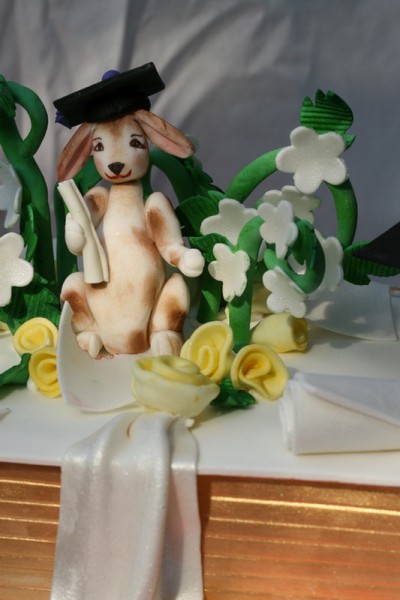 Lop Earred Bunny on Graduation Cake for Law School Grad