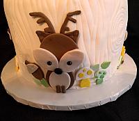 WoodlandsBabyShowerCakeCloseUp1