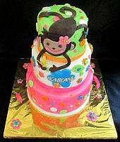 MonkeyDotsFlowersChildFondantCakeView2