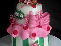 StrawberryShortcakeCharacterCakeCloseUpBow