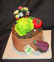 GardenThemeVegetablesFlowerPansiesCakeSdie2