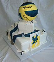Graduation Cake with Volleyball, College Emblem, Sports Medal