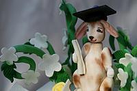 Close-up of Lop Earred Bunny decoration on Graduation Cake for Law School Grad