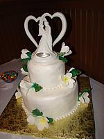 White two tiered wedding cake with fondant pearl necklace border and sugarpaste Frangipani flowers.  Susan Sprague ordered this wedding cake for her daughter's wedding.